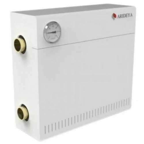 Парапетный газовый котел Arideya КС-ГВС-12.5 с TGV
