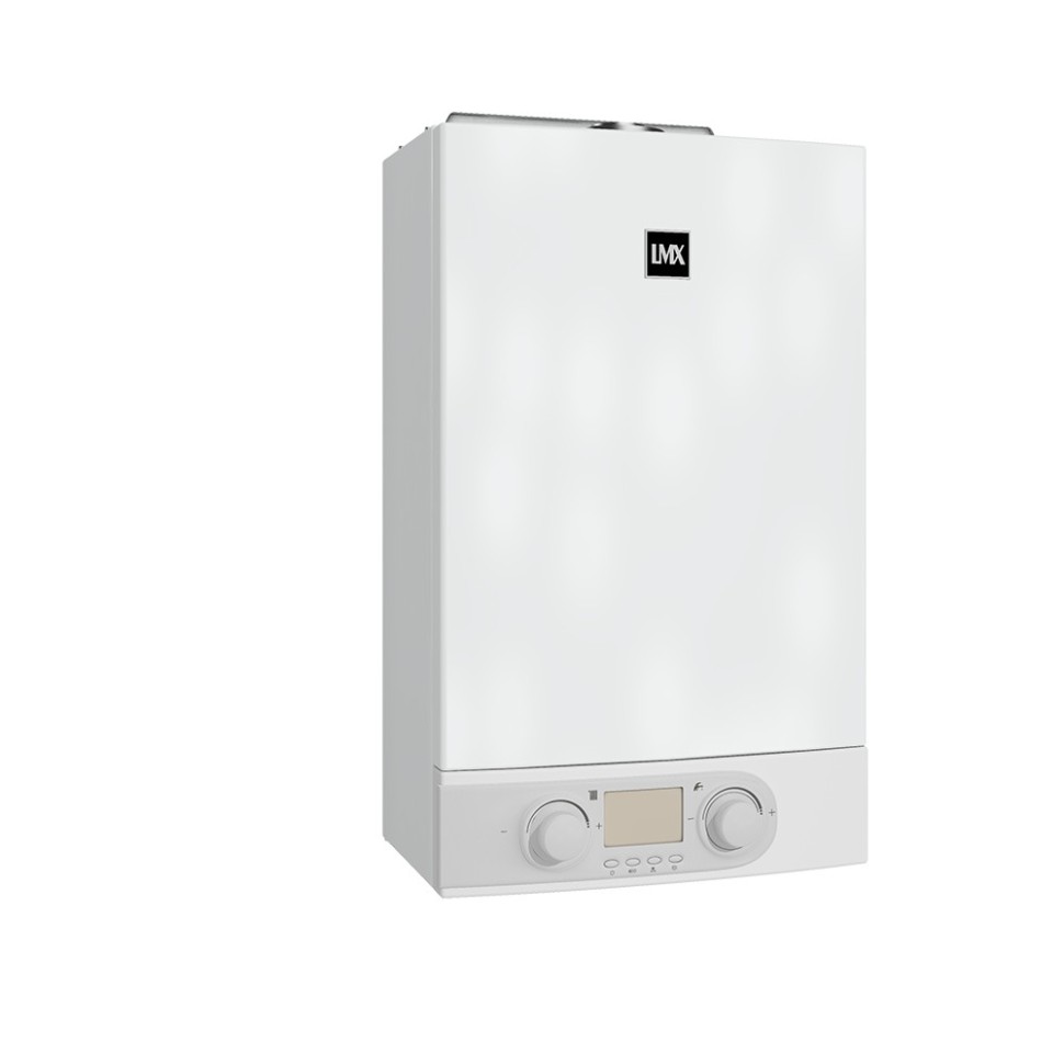 Газовый котел настенного типа Лемакс Start-12